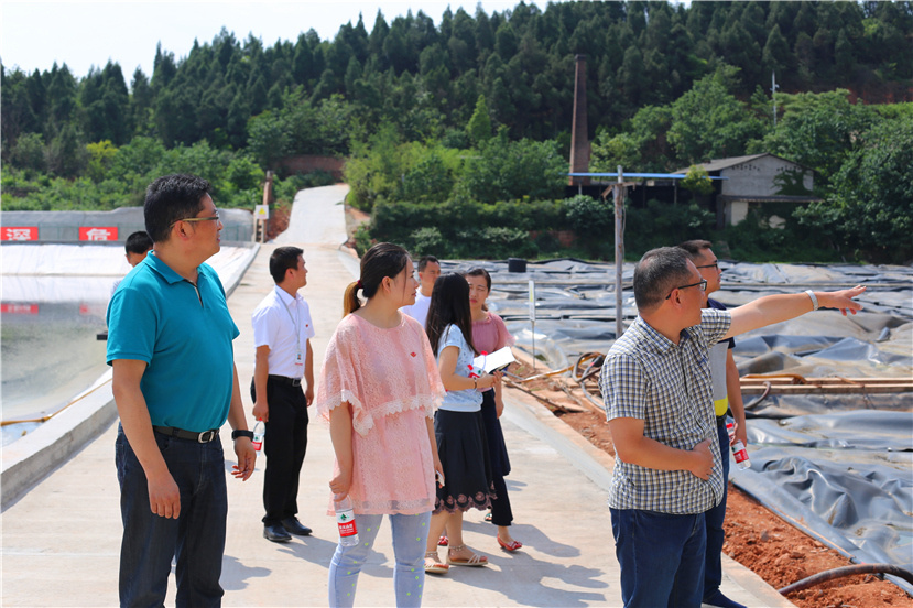 集團(tuán)第一檢查組檢查杰陽(yáng)排水公司、固廢處置公司安全防汛和環(huán)保達(dá)標(biāo)各項(xiàng)工作3_副本