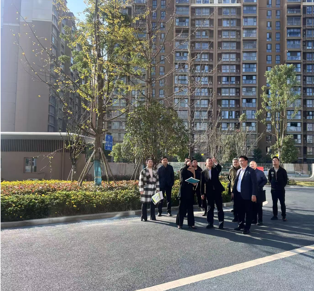 副市長徐春龍調(diào)研德陽市老年養(yǎng)護(hù)院、德陽市民政精神衛(wèi)生福利機(jī)構(gòu)項(xiàng)目建設(shè)工作